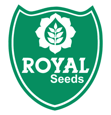 Screenshot 2025-07-11 172833.png